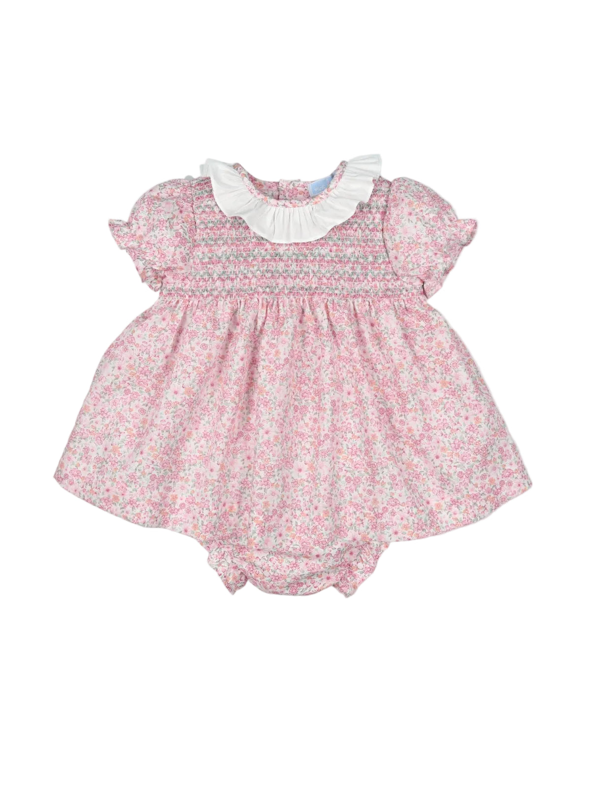0123 Completo Viviana
